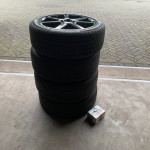 IMG_4463 IMG_4463