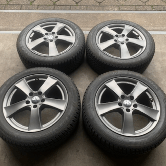 VW PASSAT T-ROC CADDY SKODA SEAT AUDI VELGEN + WINTERBANDEN 215 55 R17